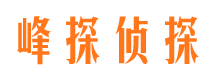 舞阳资产调查